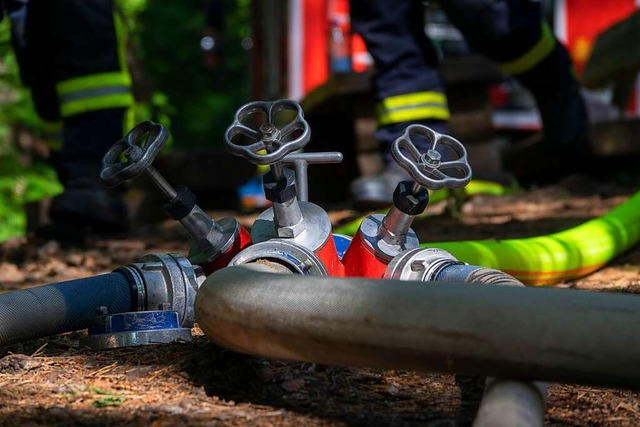 Feuerwehrleute sind mit Lscharbeiten in einem Wald beschftigt. v  | Foto: Harald Tittel (dpa)