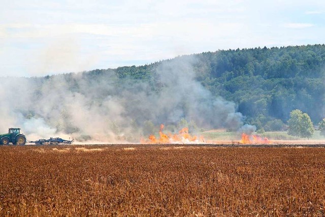 Brand auf einem Weizenfeld  | Foto: Ralf Hettler (dpa)