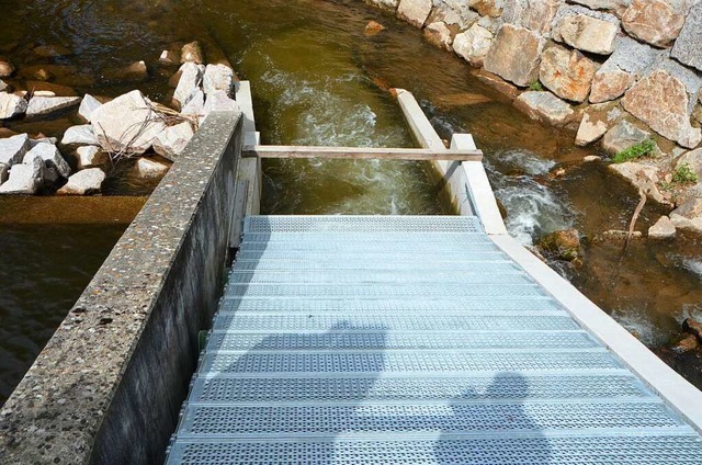 Wasserkraftnutzung des  Brettenbachs im Vollrath&#8217;schen Park in Emmendingen  | Foto: Sylvia-Karina  Jahn