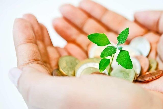 Nachhaltige Geldanlage: So wird Ihr Aktienportfolio grüner