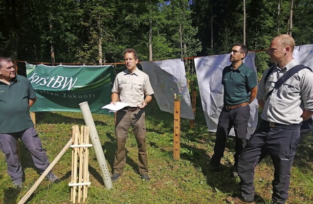 Informierten ber die Forsteinrichtung...el Hink,  Georg Wolter und Michel Rnz  | Foto: Winfried Kninger