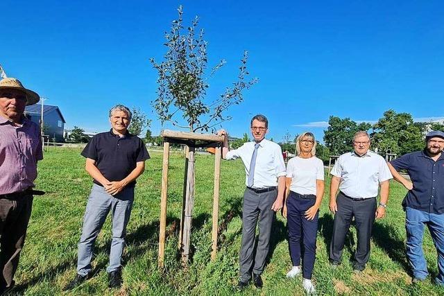 Gewerbepark Breisgau schüttet zusätzliche Million an Verbandsgemeinden aus