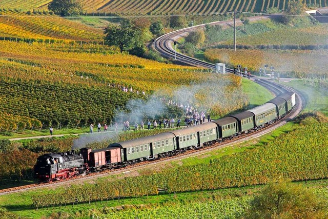 Der Rebenbummler vom Kaiserstuhl.  | Foto: Hans-Peter Ziesmer