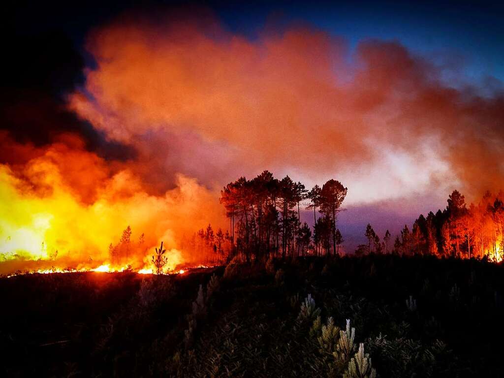 In Frankreich kmpfen bei Louchats im Sdwesten des Landes zahlreiche Feuerwehrmnner gegen die Flammen.