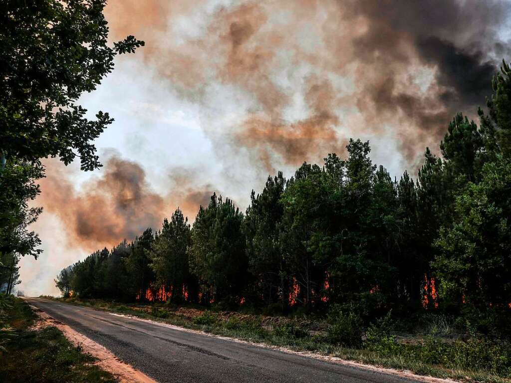 Ein Waldbrand nahe Louchats im Sdwesten Frankreichs.