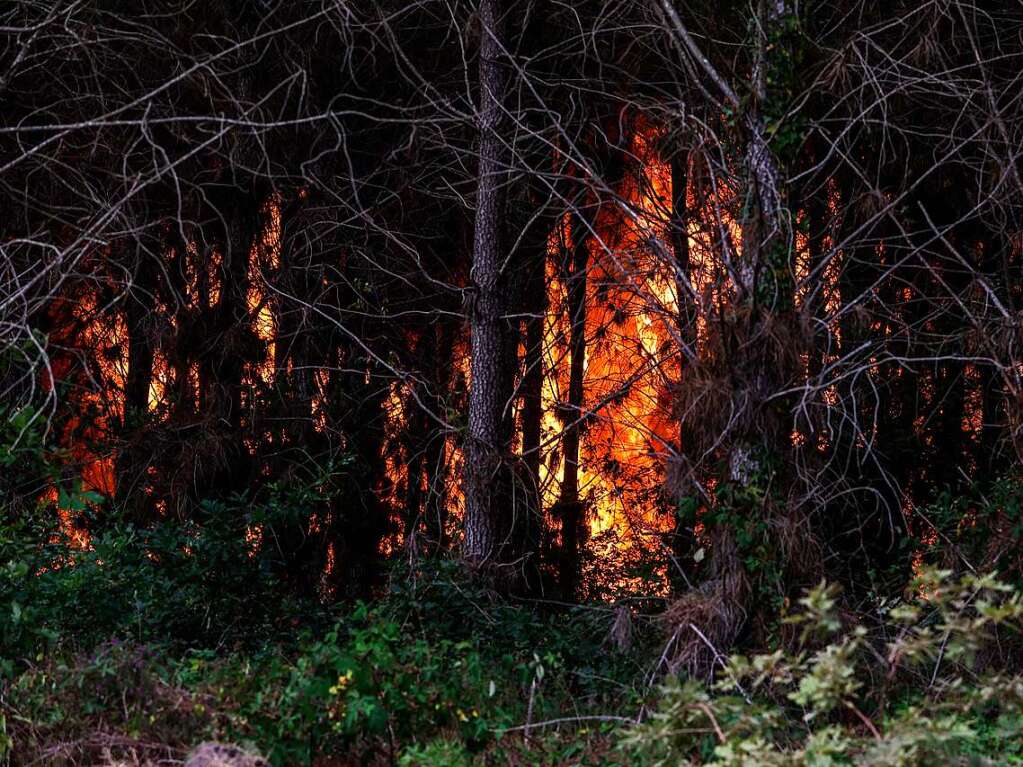 Ein Waldbrand nahe Louchats im Sdwesten Frankreichs.