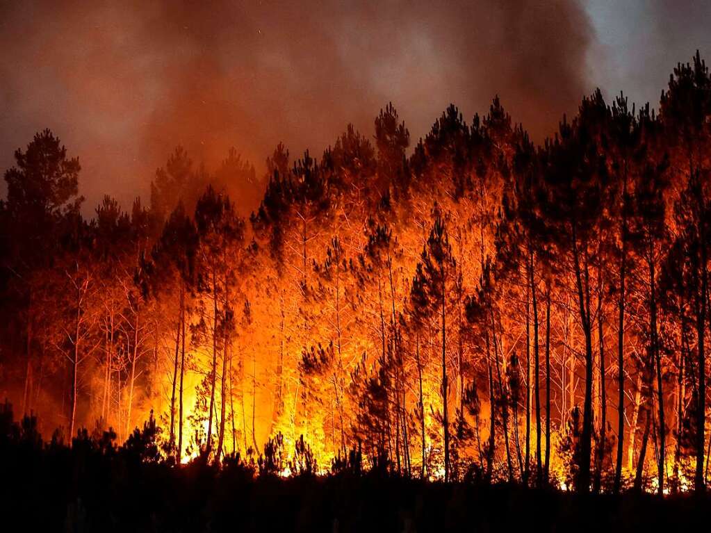 Ein Waldbrand nahe Louchats im Sdwesten Frankreichs.