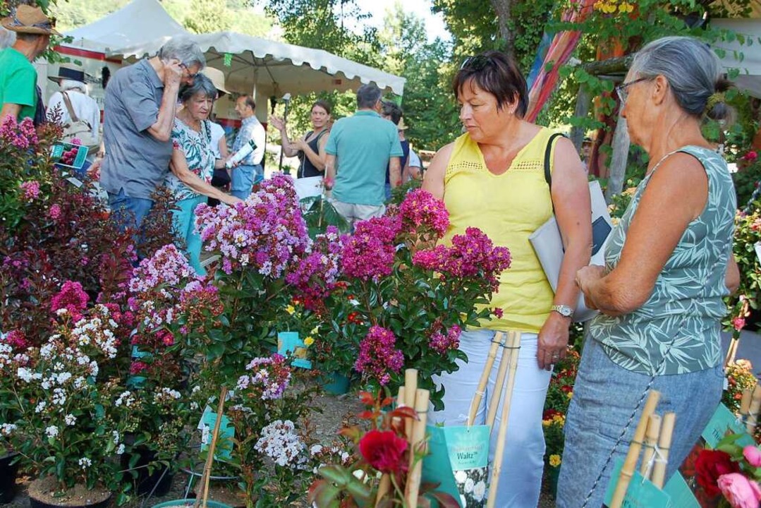 Die Gartenmesse Diga Lockt Tausende Besucher Nach Rheinfelden ...