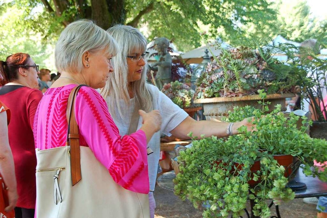 Die Gartenmesse Diga Lockt Tausende Besucher Nach Rheinfelden ...