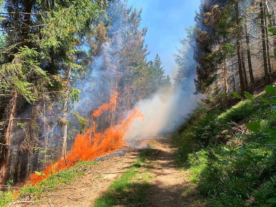 Die Feuerwehr ist mit starken Krften im Einsatz  | Foto: Feuerwehr