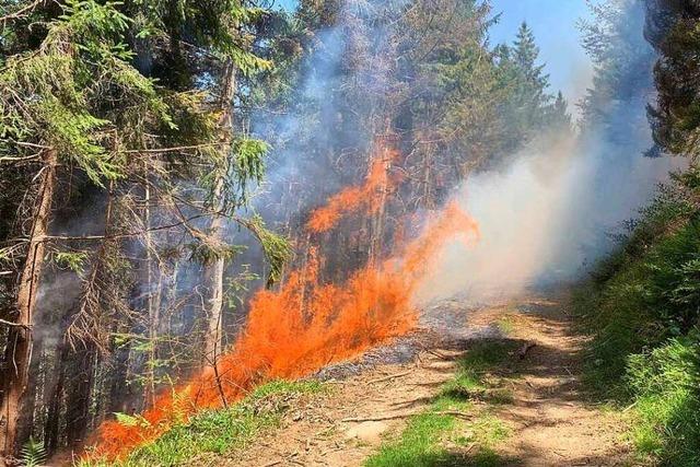 Elztal-Feuerwehren lschen Waldbrand am Kandel – Wasserversorgung schwierig