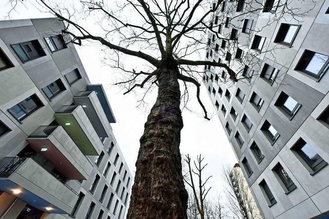 Freiburger Student verklagt Stadt, weil er lange auf Wohngeld warten musste