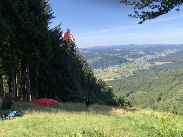 Ein Gleitschirmflieger landete am Sonntag unfreiwillig in einer Fichte.  | Foto: Bergwacht Waldkirch