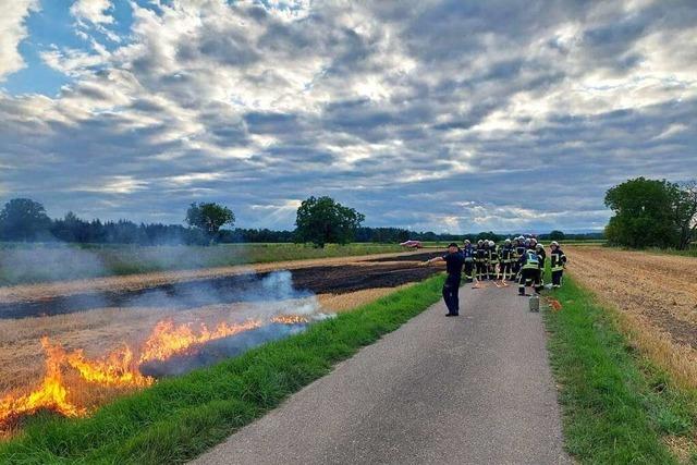Rheinhausener Feuerwehr übte auf einem in Flammen stehenden Feld