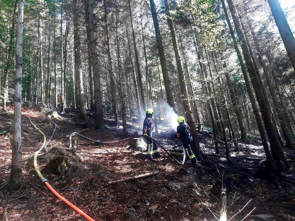 Letzte Lscharbeiten  | Foto: Landratsamt Emmendingen
