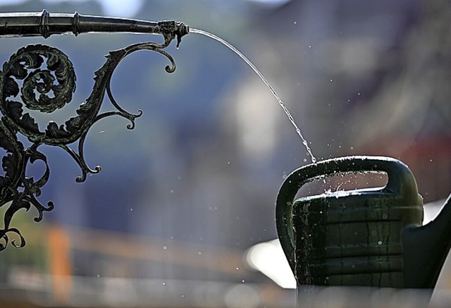 Wasser: auch in Schnau knapp  | Foto: Patrick Seeger