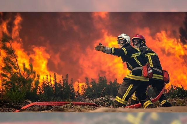 Heißester Tag des Jahres, Waldbrände in Südeuropa