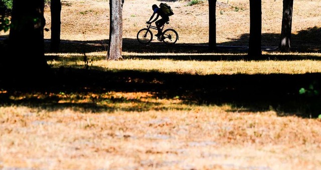 Ein Radfahrer fhrt zwischen vllig vertrockneten Wiesen in Hannover.  | Foto: Julian Stratenschulte (dpa)