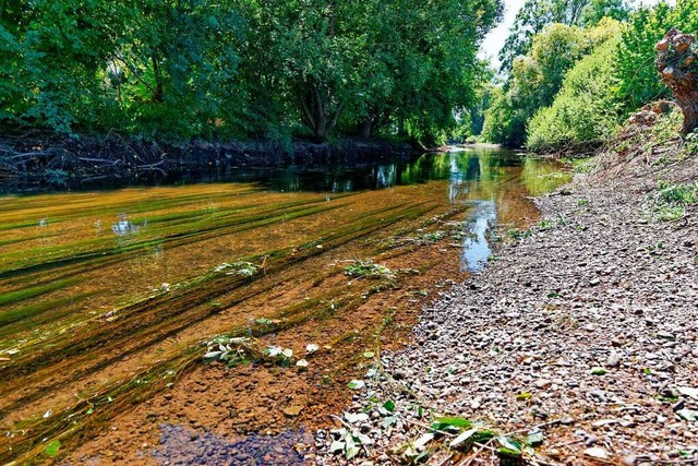 Niedrigwasser macht derzeit das Bootfa... Foto entstand westlich von Kenzingen.  | Foto: Martin Wendel