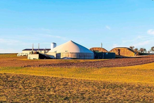 Landes-Agrarminister Hauk will Biogas-Anlagen hochfahren