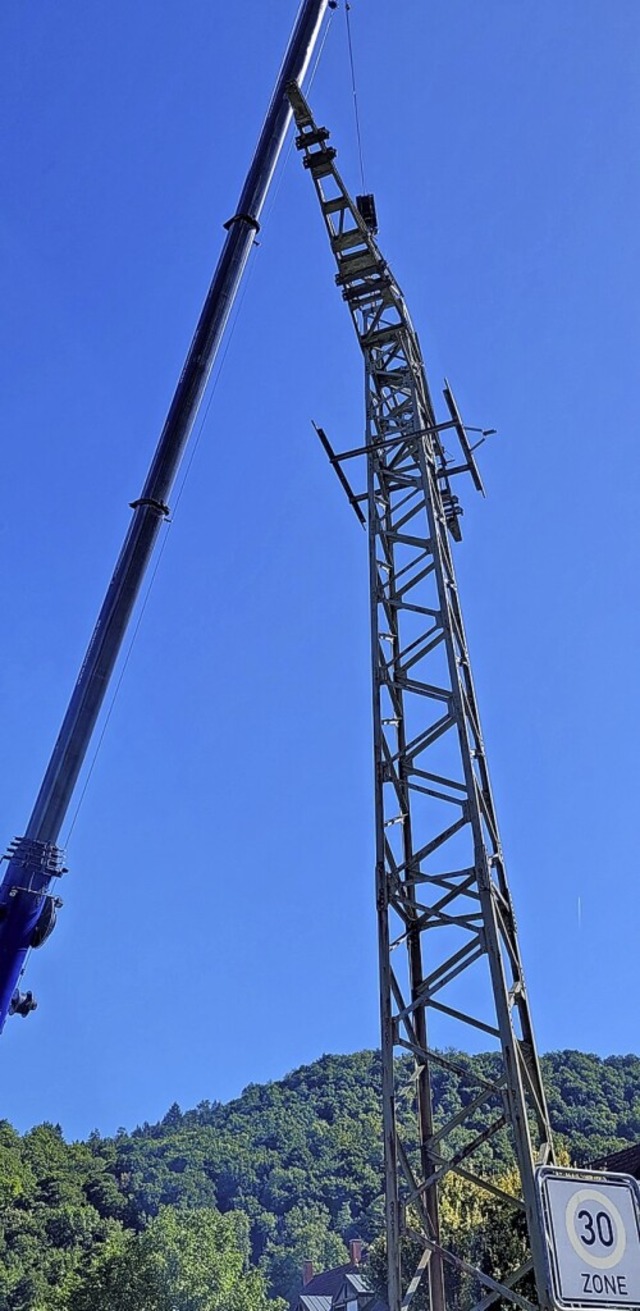 Der Vorletzte Strommast in Grenzach-Wyhlen wird abgebaut.  | Foto: Heinz und Monika Vollmar