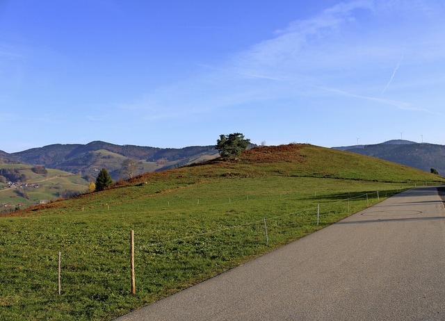 Hier, auf &#8222;Mutiger Bhl&#8220;, soll ein Friedberg  entstehen.  | Foto: Manuel Hunn