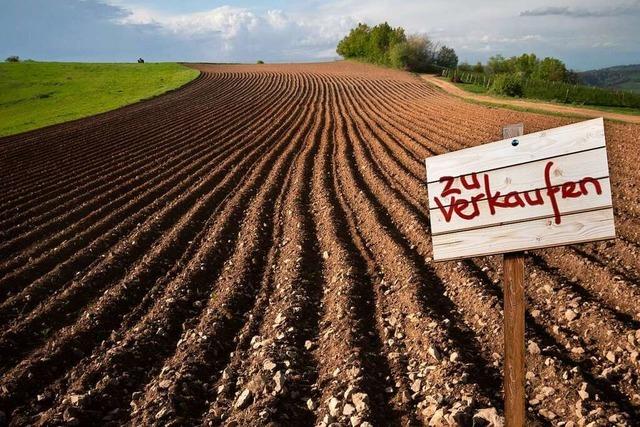 Grundstckspreise: In Bad Krozingen ist der Boden am teuersten