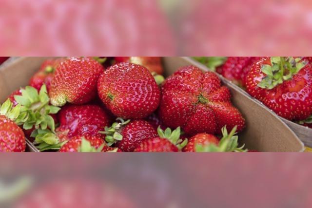 Wenig heimische Erdbeeren