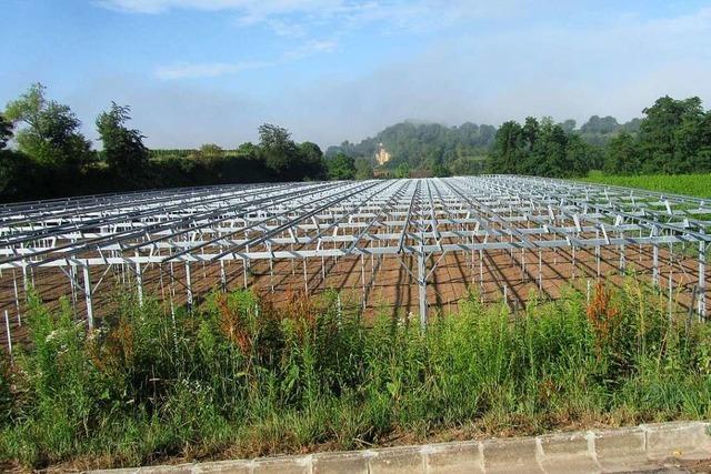 Munzinger Räte haben noch Fragen zur Reben-Photovoltaik-Anlage