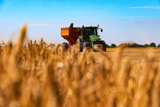 Ein Bauer erntet Getreide auf einem Fe...er Region Odessa im Sden der Ukraine.  | Foto: - (dpa)