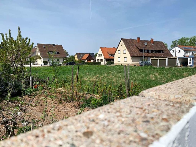 Auf der Wiese an der Heitersheimer Heb...en der Baugenossenschaft Familienheim.  | Foto: Simone Hhl