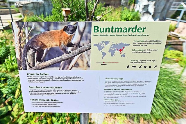 Mundenhof-Besuche sind jetzt noch lehrreicher.  | Foto: Michael Bamberger