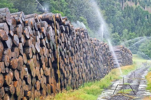 Trotz des Wasserentnahmeverbots werden Holzstmme bei Tegernau beregnet
