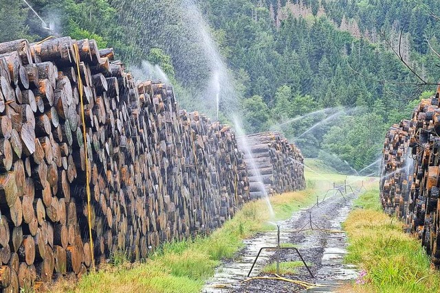 &#8222;Wasser marsch&quot; am Nassholz...ntnahmeverbot wegen der Drre besteht.  | Foto: Gerald Nill