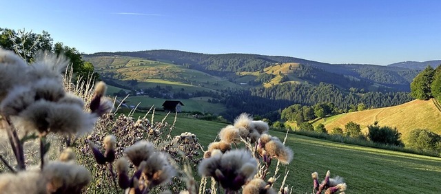 Der Blick von der Terrasse des Gasthau...tler Windrder gebaut werden sollen.   | Foto: Frank Schoch