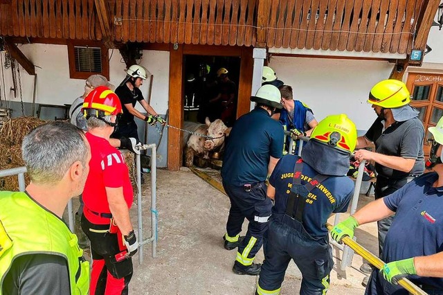 Feuerwerhrleute aus Elzach und Teilneh...r Stall eine Kuh.Kreisfeuerwehrverband  | Foto: Kreisfeuerwehrverband Emmendingen