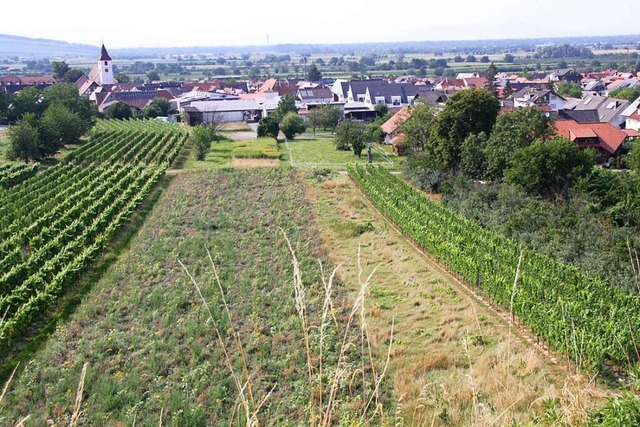 Am Ortsrand von Knigschaffhausen soll...22;Katharinenstrae&#8220;  entstehen.  | Foto: Christiane Franz