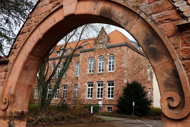Das Sozialwissenschaftliche Gymnasium am IBG in Lahr feiert den 50. Geburtstag