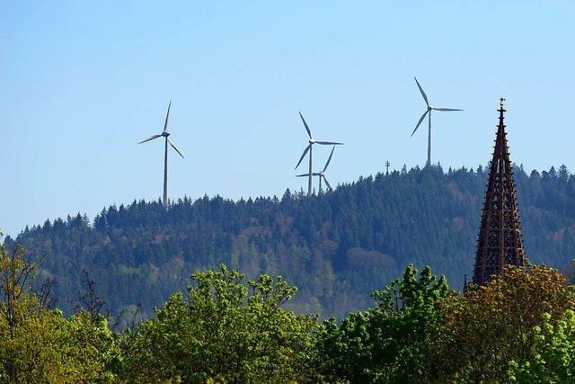 Regionalverband hlt Ausbauziele fr grne Energie in Sdbaden fr unrealistisch