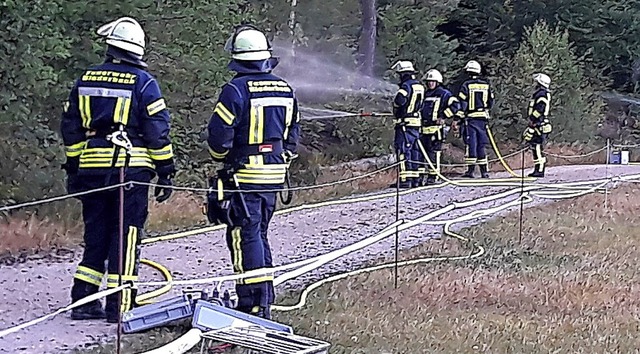 Waldbrandbekmpfung war Thema der Feuerwehrbung in Elzach.  | Foto: Feuerwehr