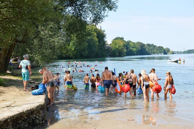 Start des grenzberschreitenden Rheinschwimmens  | Foto: Horatio Gollin