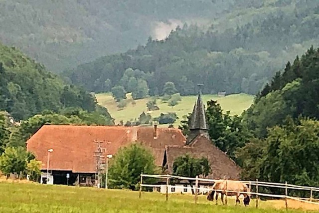 Wasserdampf steigt im Wald bei Siensba...ht auf diesem Handyfoto wie Rauch aus.  | Foto: Feuerwehr Waldkirch