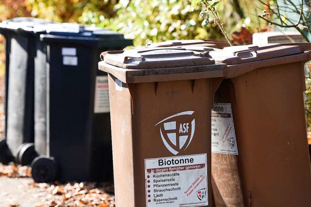 Mit der Biotonne gegen Putin - mehr Mülltrennung gefordert - Südwest -  Badische Zeitung