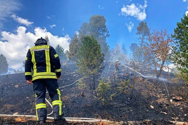 Feuer am Schluchsee zerstört Fläche auf 10.000 Quadratmetern