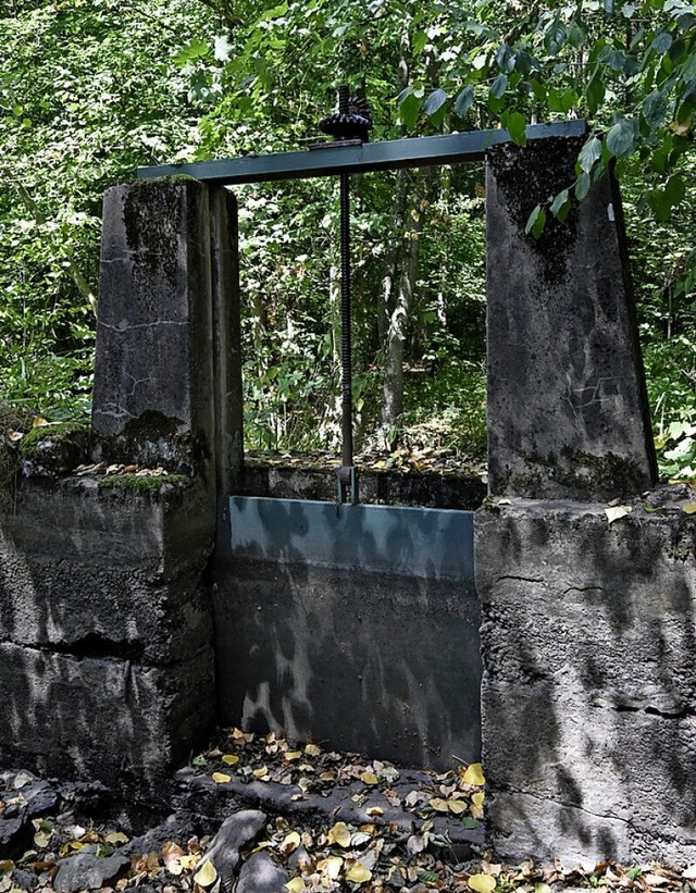 Bislang wird die Wassermenge im Mhlba...tungswehr im Futterholzbach reguliert.  | Foto: Markus Zimmermann