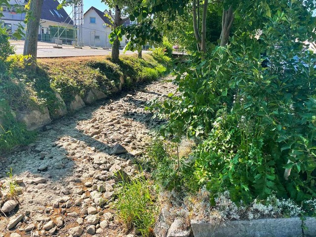 Trocken, trockener, Sulzbach: In Heitersheim herrscht teilweise Ebbe.  | Foto: Sabine Model