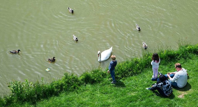 Kinder lieben es, Enten und Schwne zu...ollten sie dafr aber zu Hause lassen.  | Foto: Silas Stein (dpa)