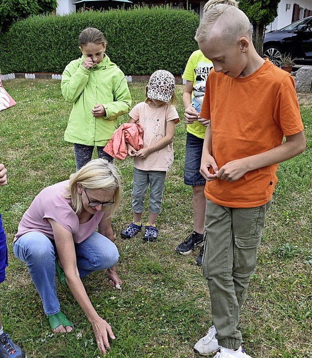 Spannend, was sich in so einem kleinen Rasenstck entdecken lsst.  | Foto: Bernadette Andr