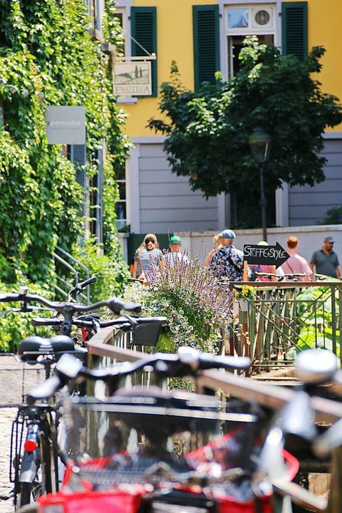   | Foto: Tim Bergfeld