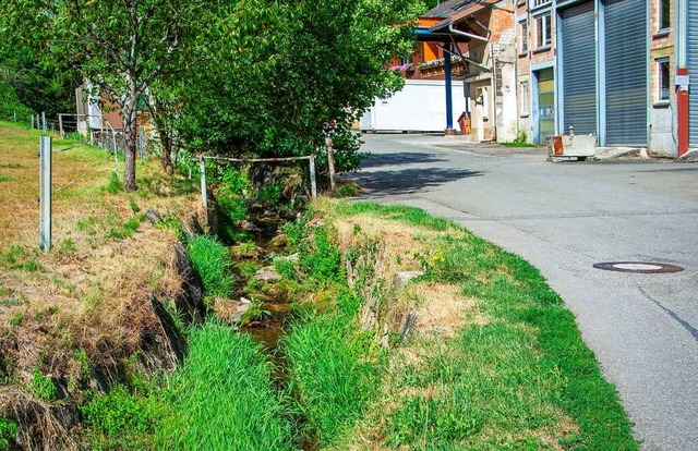 Der Gresgerbach entlang des Gresger We...wird es hier vorerst aber nicht geben.  | Foto: Paul Eischet